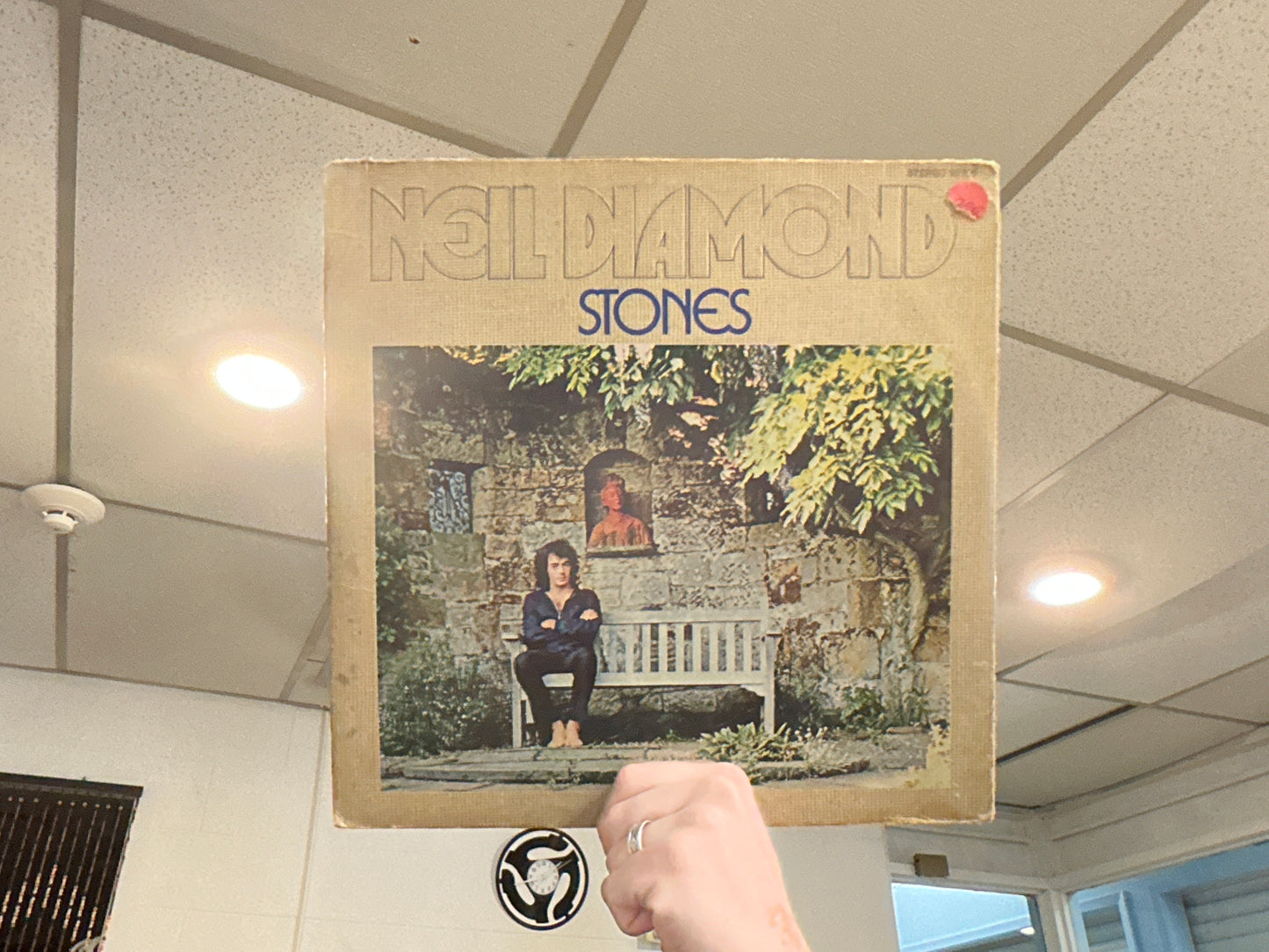 Neil Diamond - Stones ( Used - 12 inch)
