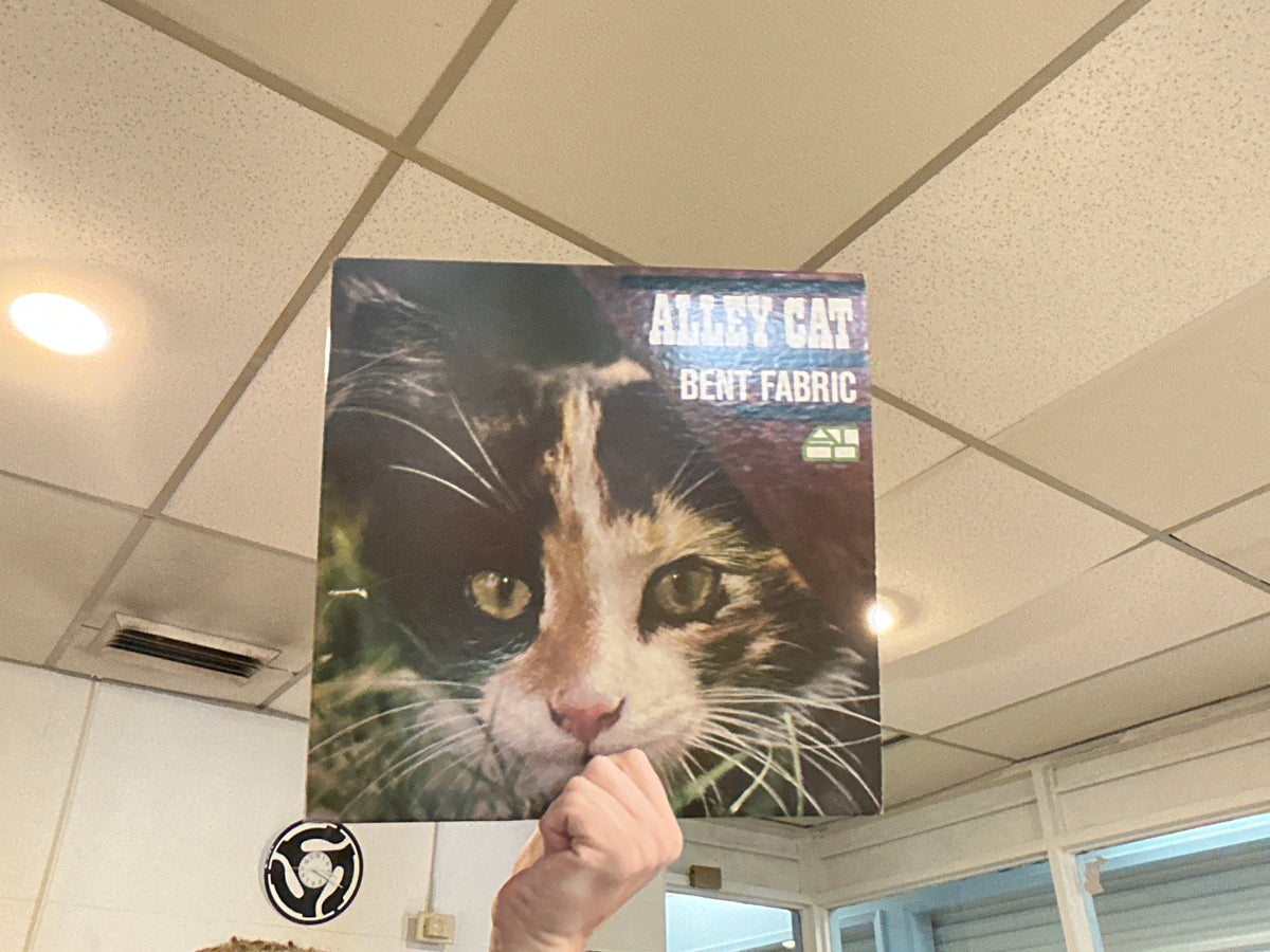 Bent Fabric - Alley Cat (Used - 12 inch)