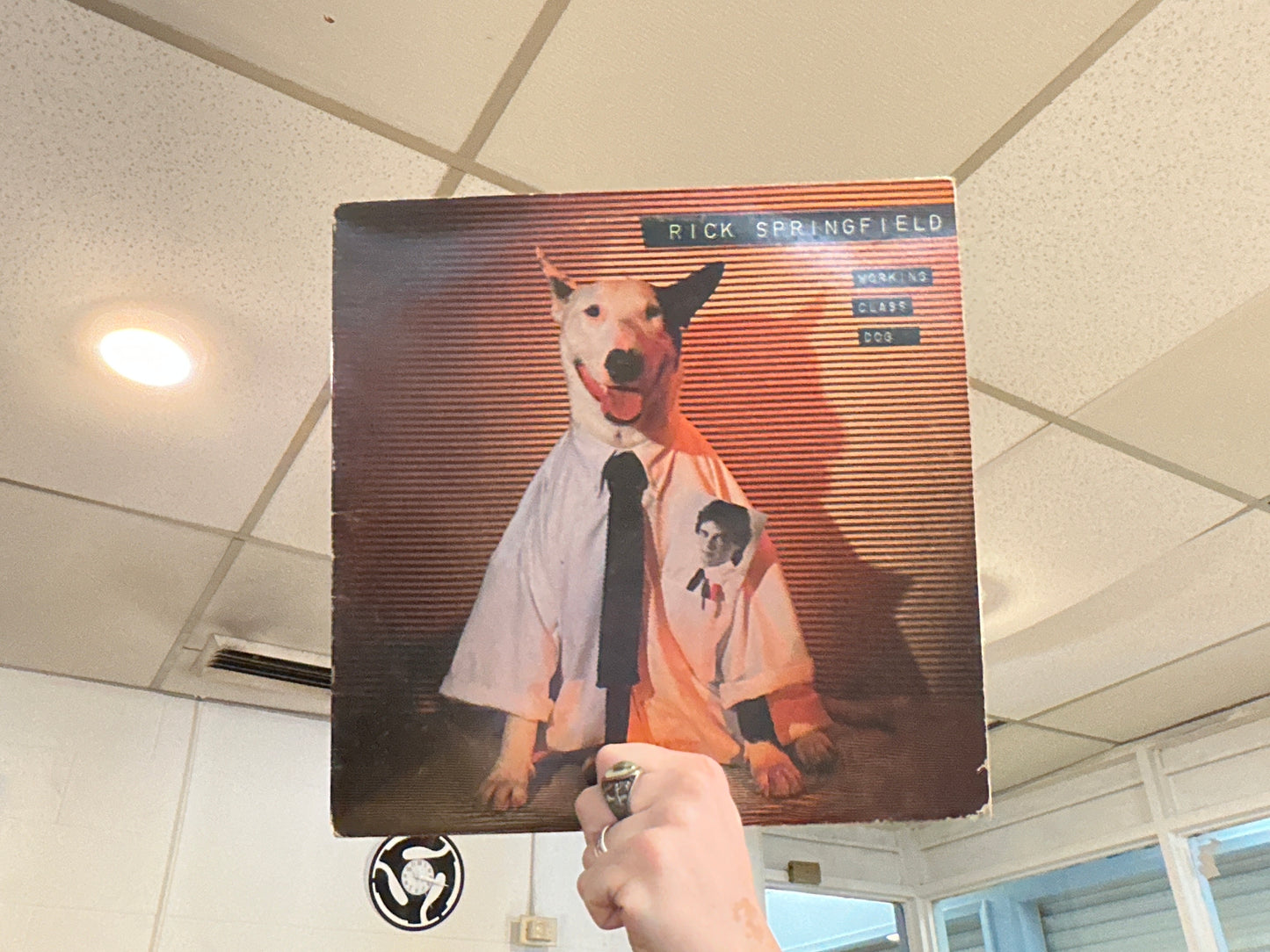 Rick Springfield - Working Class Dog (Used - 12 inch)