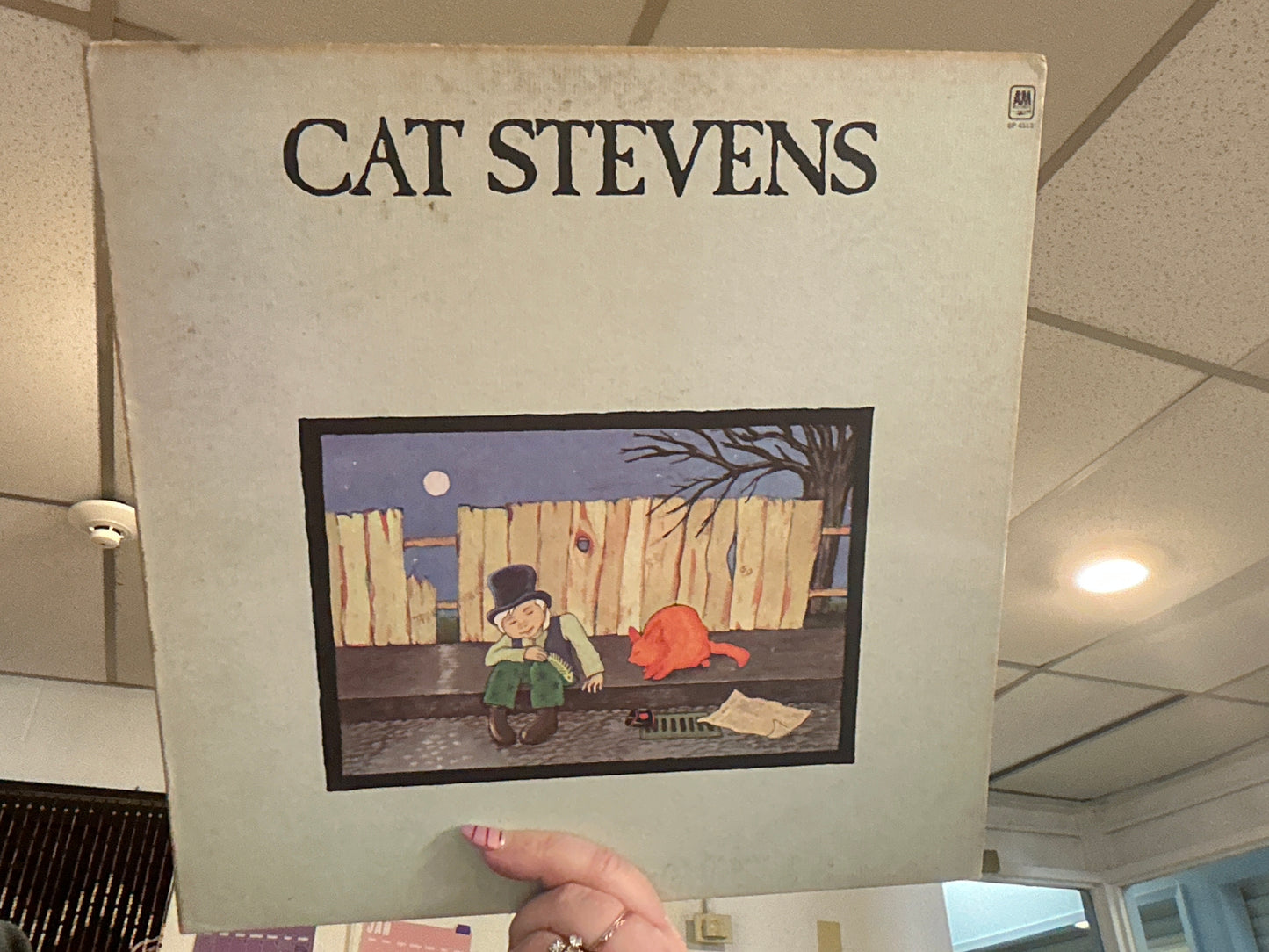 Cat Stevens- Teaser and the Firecat (Used 12 inch)