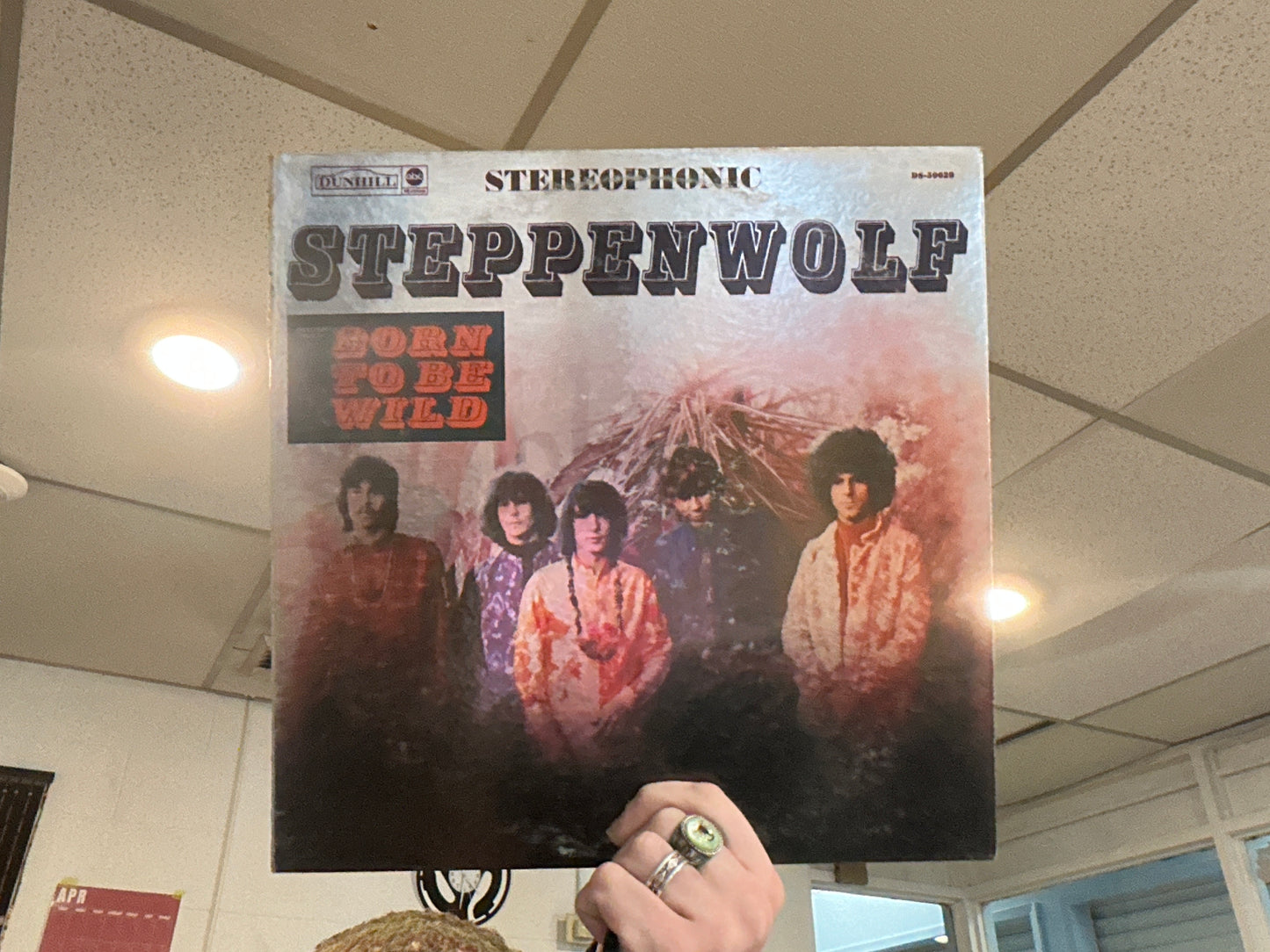 Steppenwolf - Steppenwolf (Used - 12 inch)