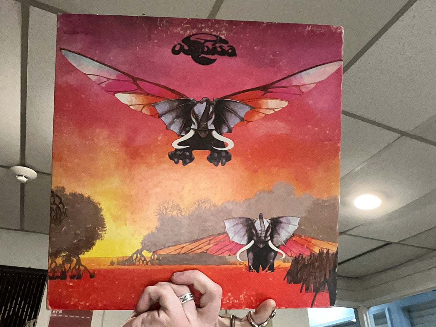 Osibisa - Osibisa (12 inch used)