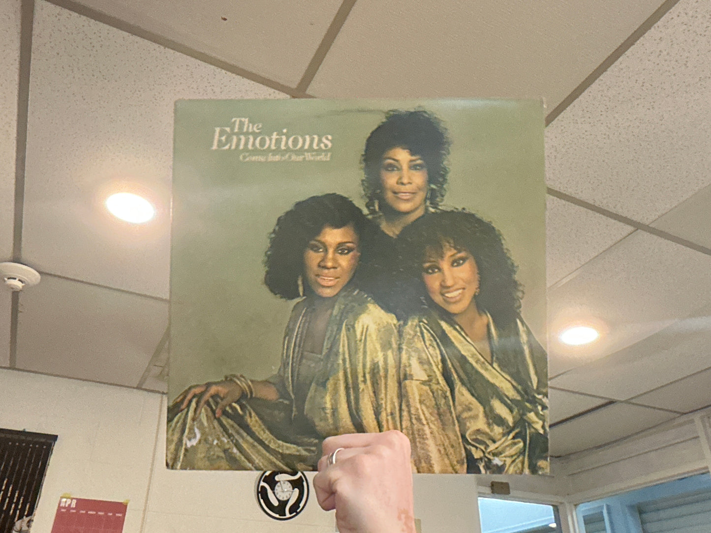 The Emotions - Come Into Our World (Used - 12 inch)