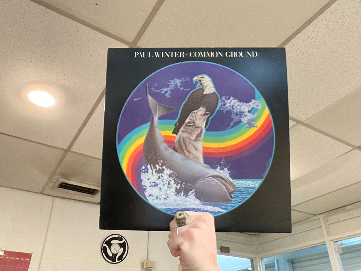 Paul Winter - Common Ground (Used - 12 inch)