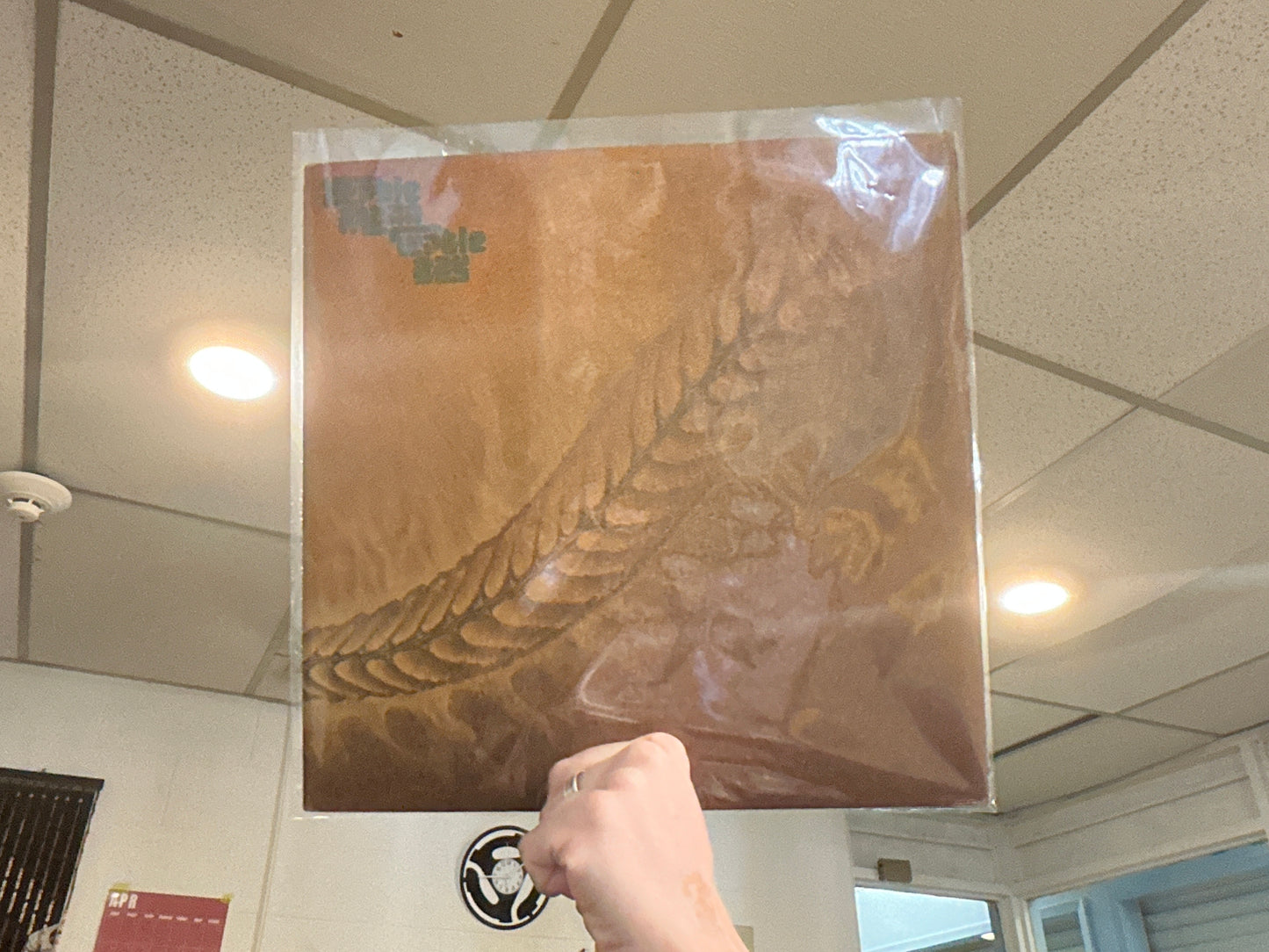 Herbie Mann - Turtle Bay (Used - 12 inch)