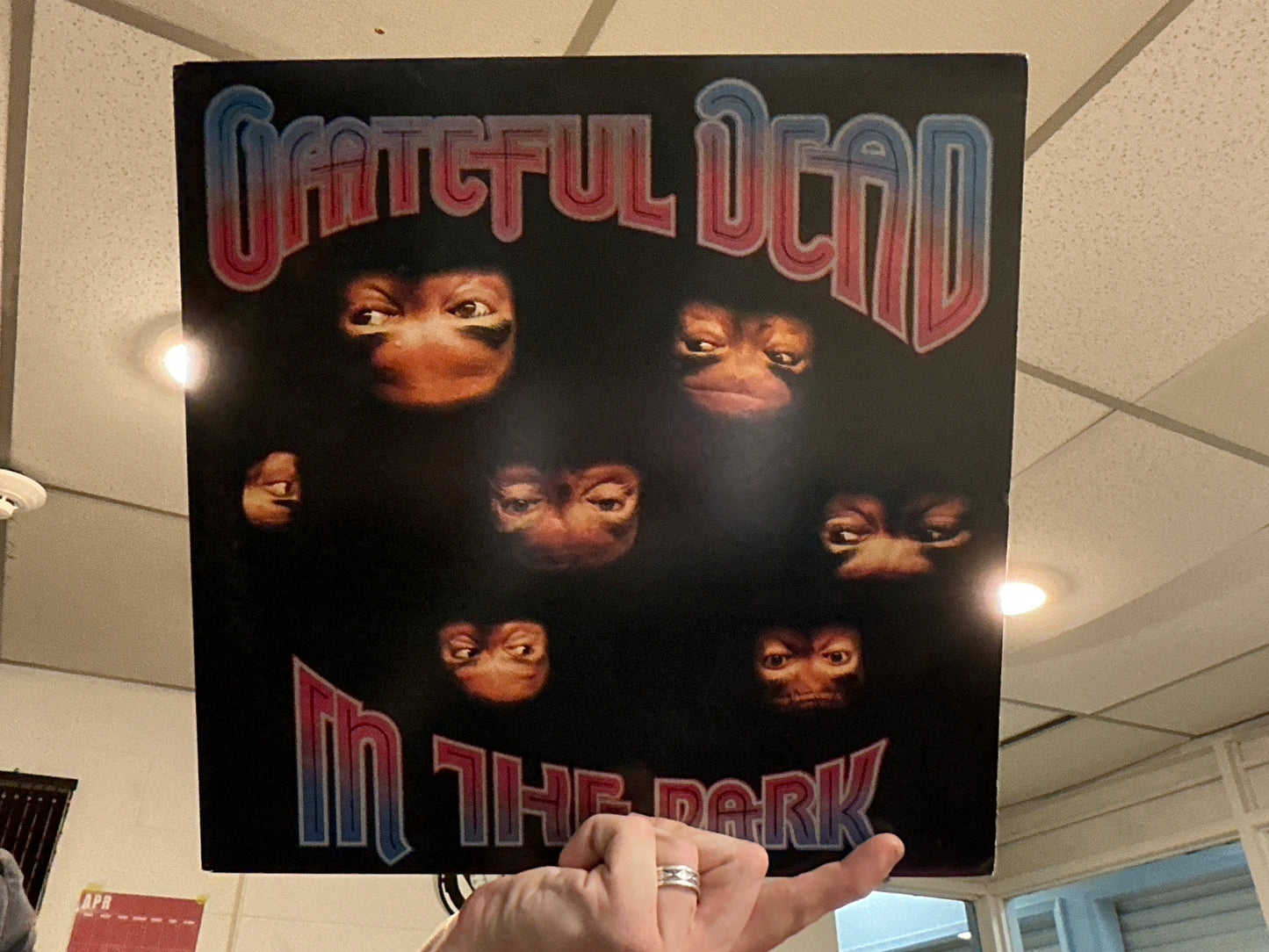 The Grateful Dead - In The Dark (12 inch used)