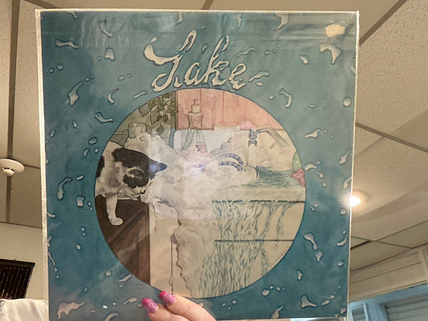 Lake- Lake (used 12 inch)