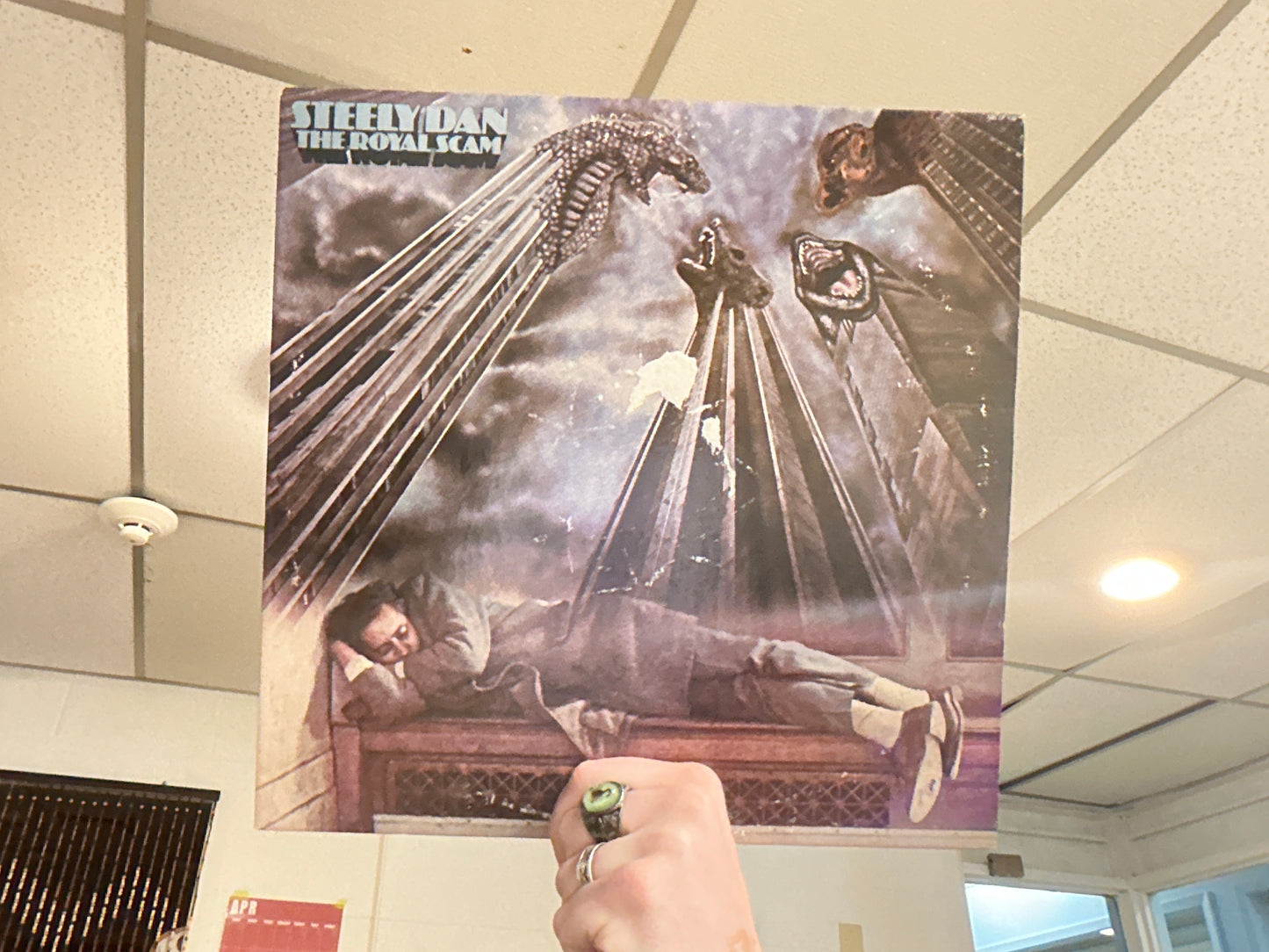 Steely Dan - The Royal Scam (Used - 12 inch)