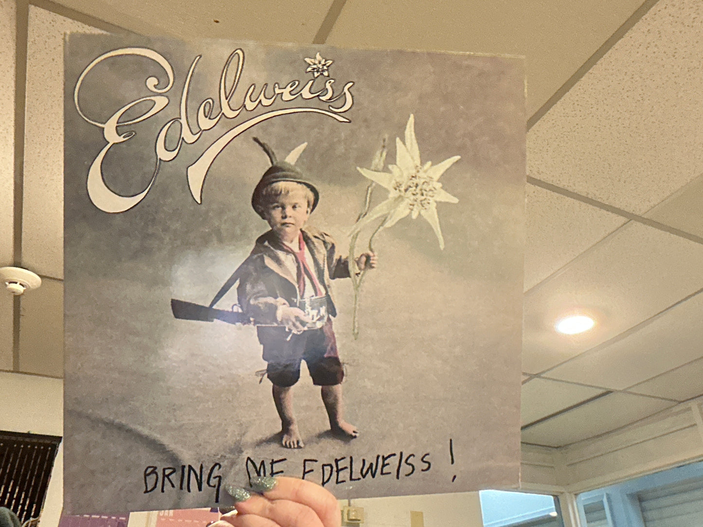 Edelweiss- Bring me Edelweiss (Used: 12” single Euro-House)