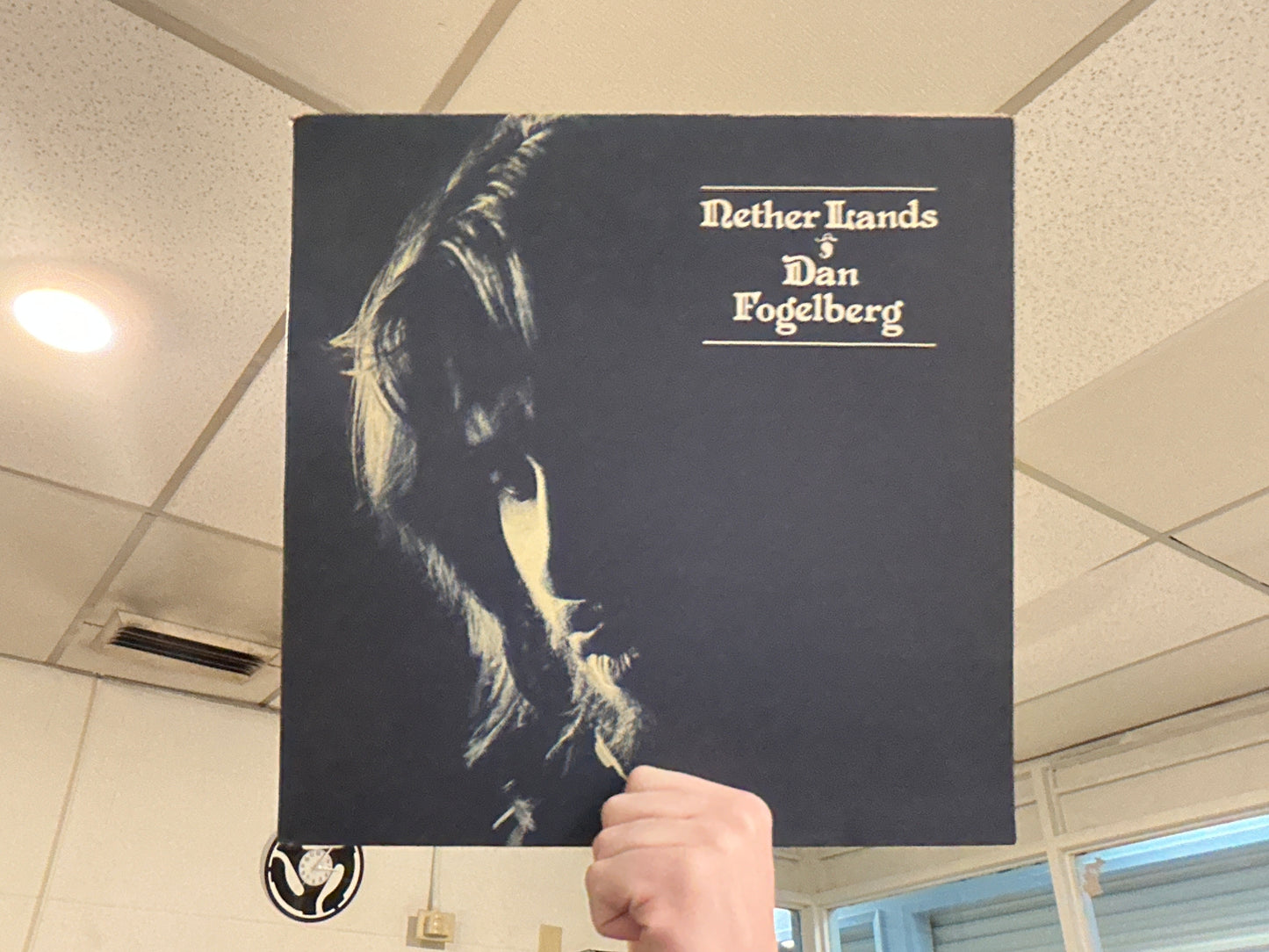 Dan Fogelberg - Nether Lands (Used - 12 inch)