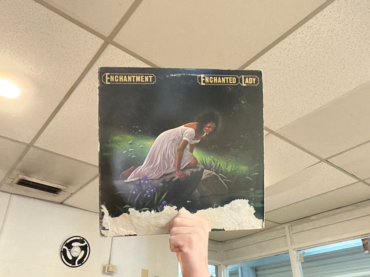 Enchantment - Enchanted Lady (Used - 12 inch)