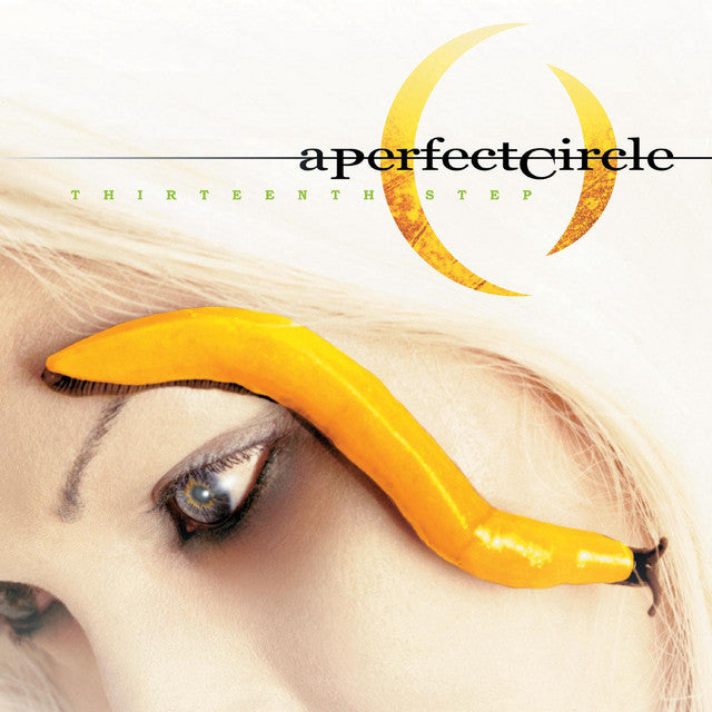 A PERFECT CIRCLE - Thirteenth Step (12in Vinyl)