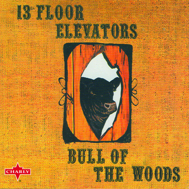 13TH FLOOR ELEVATORS - Bull of The Woods (12in Vinyl)
