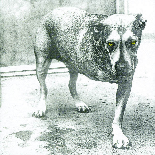 ALICE IN CHAINS - Alice In Chains (CD)