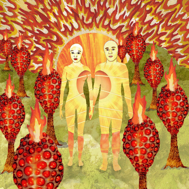 OF MONTREAL - The Sunlandic Twins (12in Vinyl)