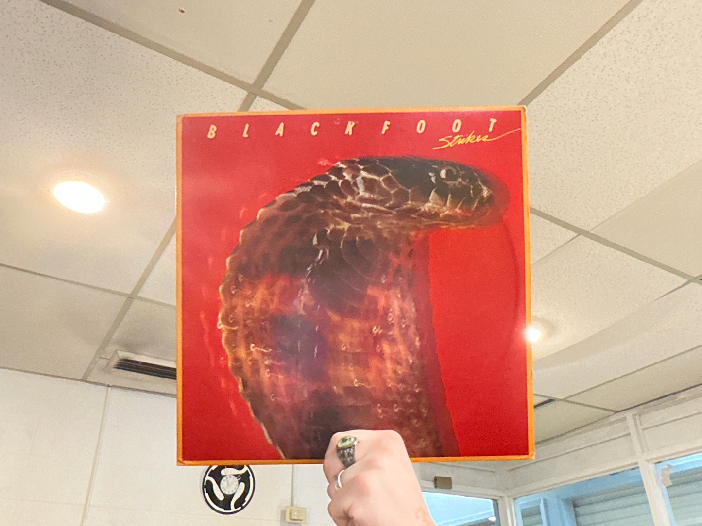 Blackfoot - Strikes (Used - 12 inch)