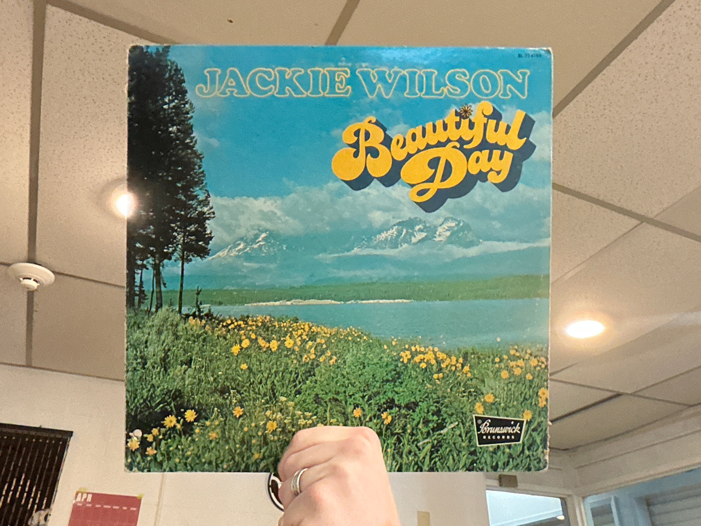 Jackie Wilson - Beautiful Day (Promo, Used - 12 inch)