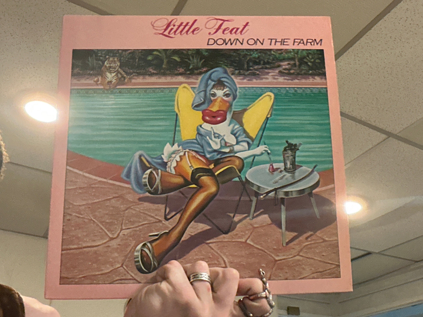 Little Feat - Down on the Farm (12 inch - Used)