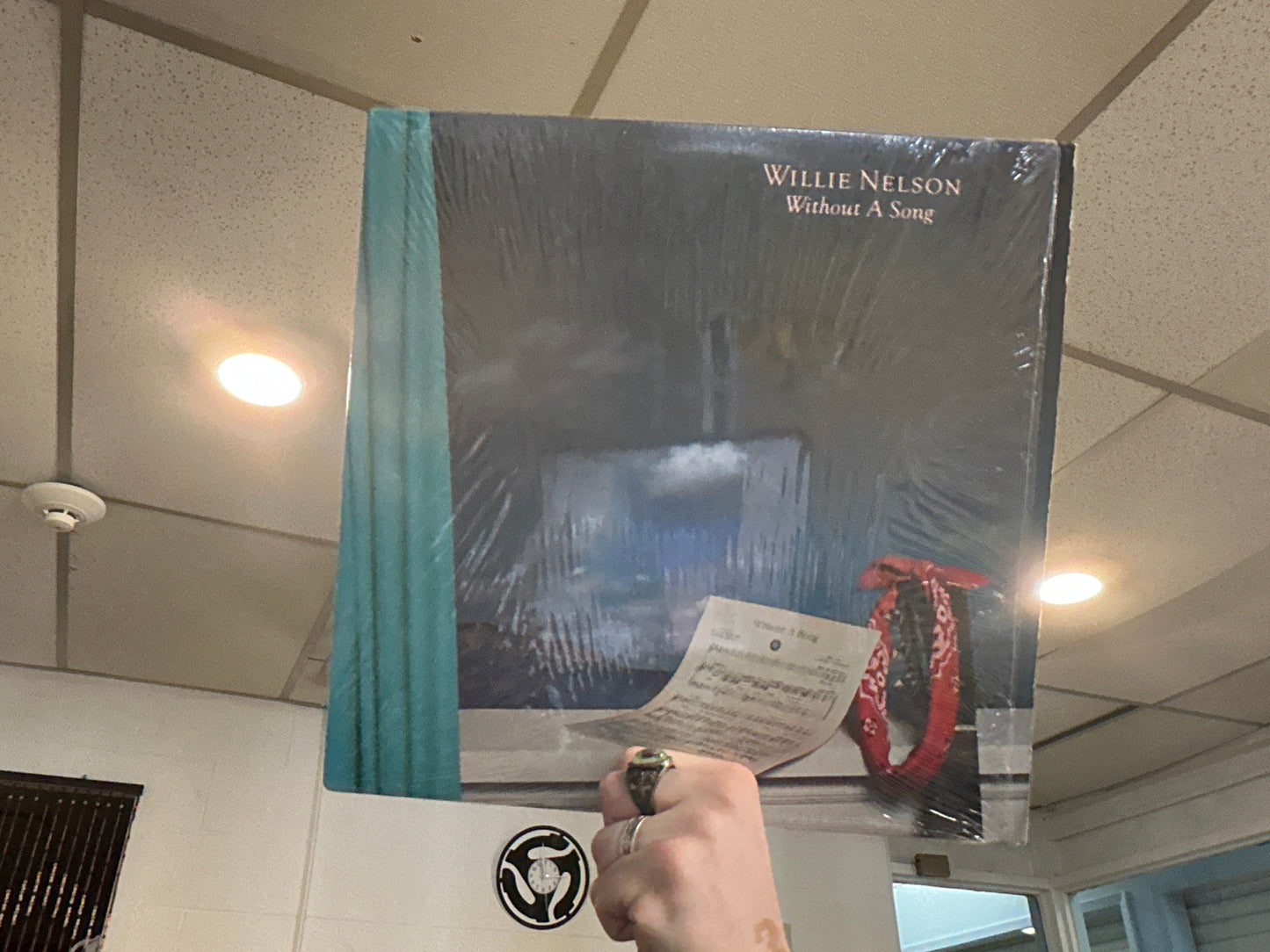 Willie Nelson - Without a Song (Used - 12 inch)