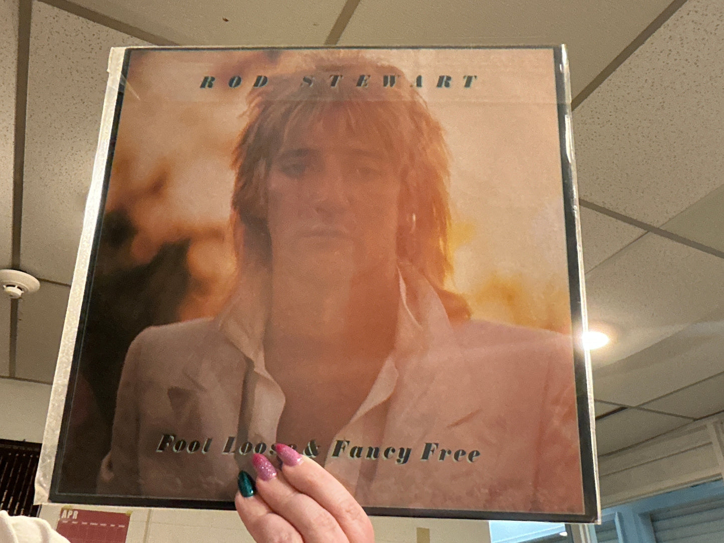 Rod Stewart- Foot Loose and Fancy Free (12 inch)(used)