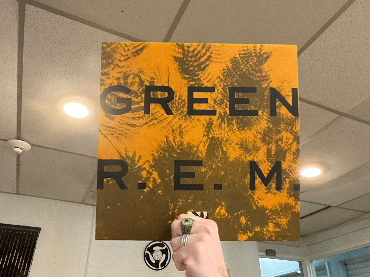 R.E.M. - Green (2016 Reissue, 180g) [Used - 12 inch]