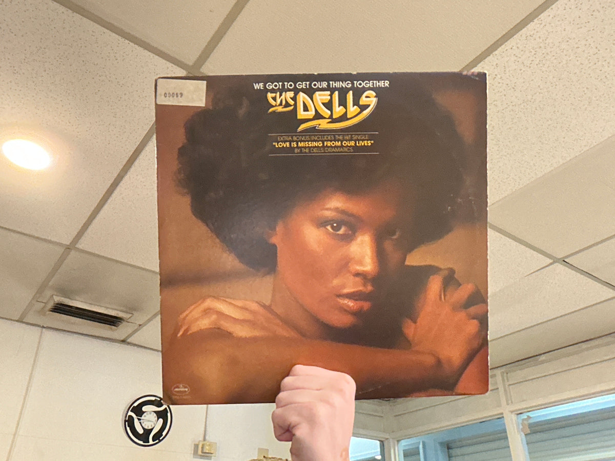 The Dells - We Got to Get Our Thing Together (Used - 12 inch)