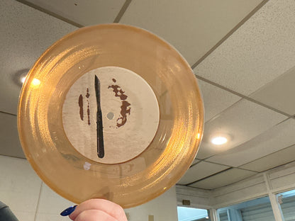 I Hate Myself- Two Songs (used 45 rpm 7 inch transparent brown)