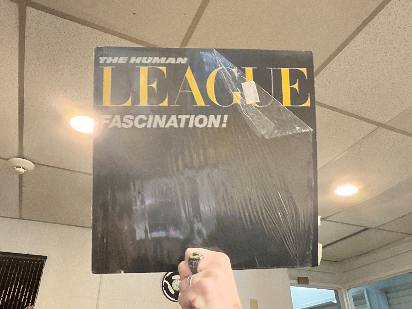 The Human League - Fascination! (Used - 12 inch)