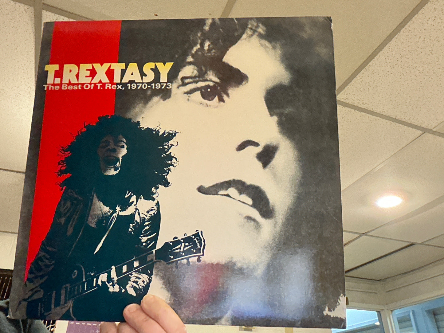 T.Rex- T.Rextasy The Best of T.Rex, 1970-1973 (Used 12 inch)
