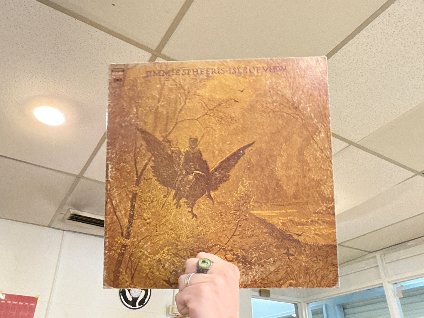 Jimmie Spheeris - Isle of View (Used - 12 inch)