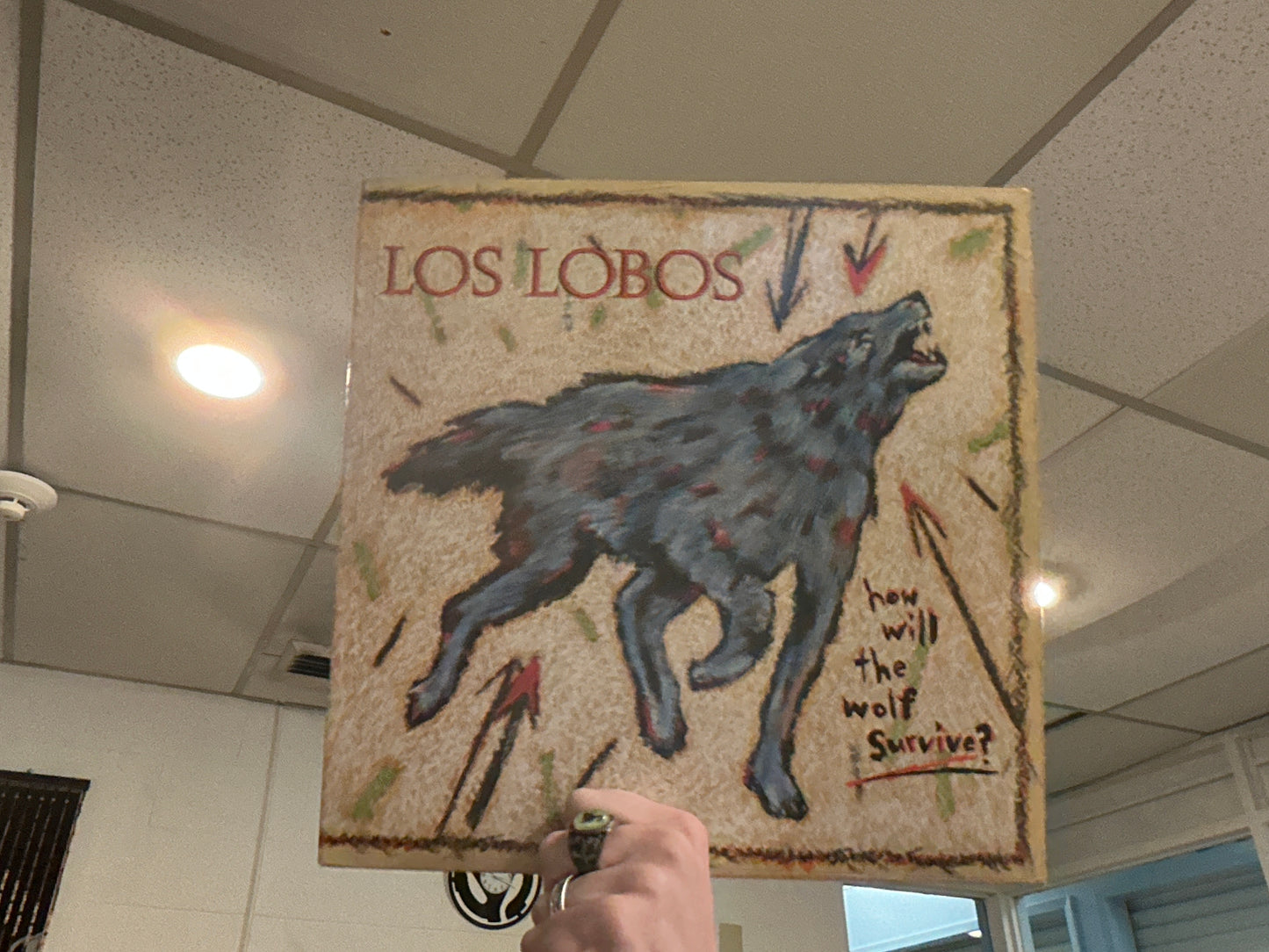 Los Lobos - How Will the Wolf Survive? (Used - 12 inch)