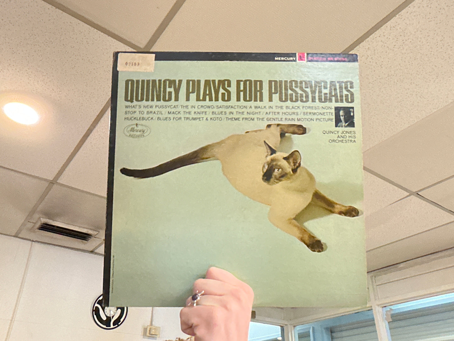 Quincy Jones and His Orchestra - Quincy Plays for Pussycats (Used - 12 inch)
