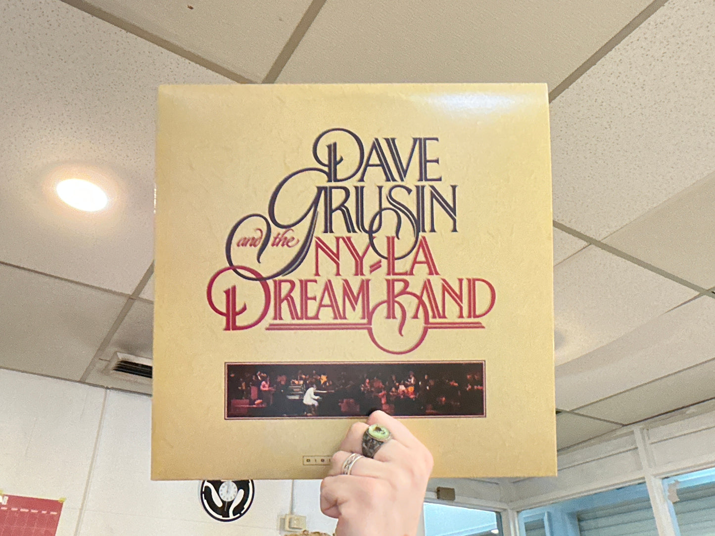Dave Grusin and the NY/LA Dream Band - Dave Grusin and the NY/LA Dream Band