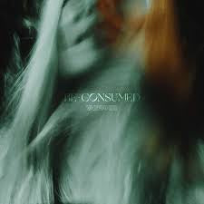 VAGRANTS - Be Consumed (12in Vinyl)