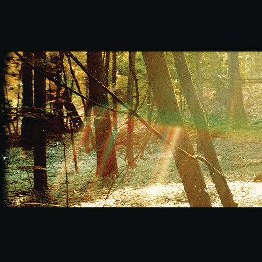 CHILDISH GAMBINO - Camp (12in Vinyl)