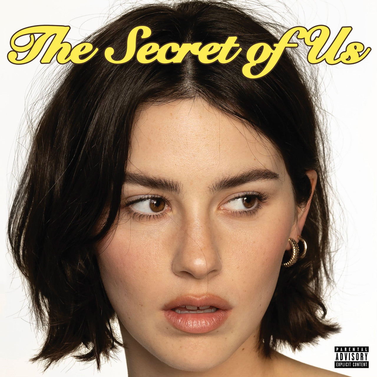 GRACIE ABRAMS - The Secret Of Us (12in Vinyl)