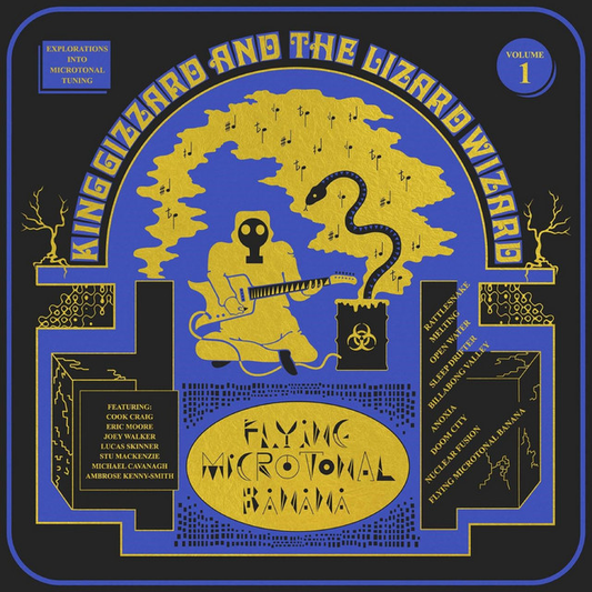 KING GIZZARD AND THE LIZARD WIZARD - Flying Microtonal Banana (12in Vinyl)