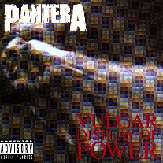 PANTERA - Vulgar Display Of Power (12in Vinyl)