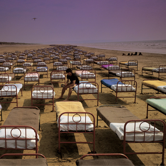 PINK FLOYD - A Momentary Lapse Of Reason (12in Vinyl)