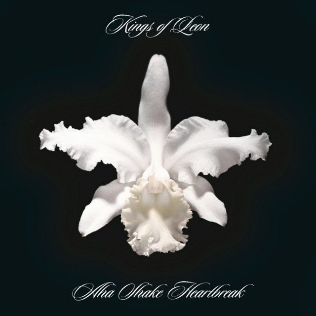 KINGS OF LEON - Aha Shake Heartbreak (12in Vinyl)