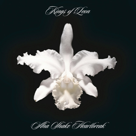KINGS OF LEON - Aha Shake Heartbreak (12in Vinyl)