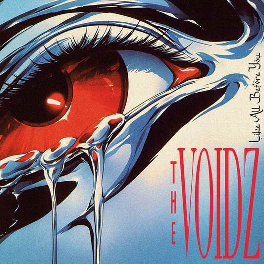 THE VOIDZ - Like All Before You (12in Vinyl)