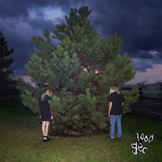 100 Gecs - 1,000 Gecs (12in Vinyl)